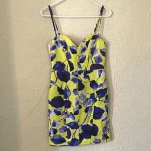 Shilly of New York Dress